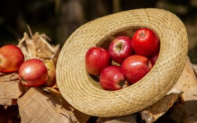 Technologies de refroidissement pour une transformation alimentaire de haute qualité