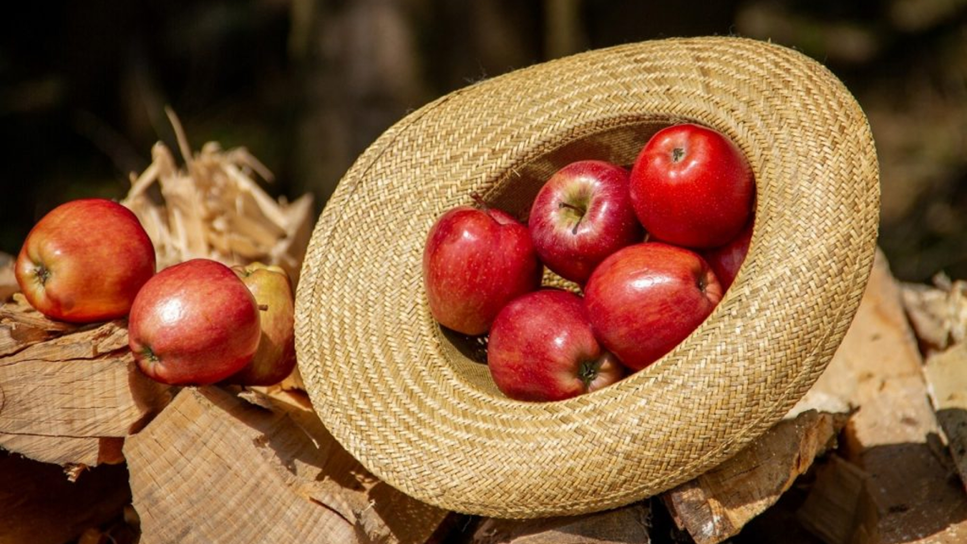 Studium przypadku technologii chłodzenia dla procesu produkcji żywności wysokiej jakości