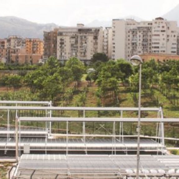 Cooling Towers for Polygeneration in University of Palermo