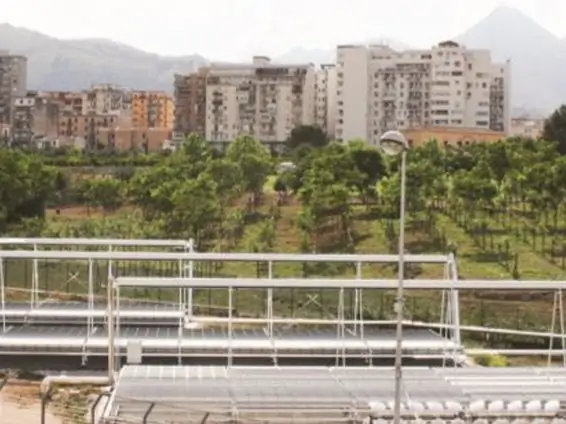 Torri di raffreddamento per la poligenerazione nell'Università di Palermo