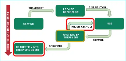 Sustainability Phases EN